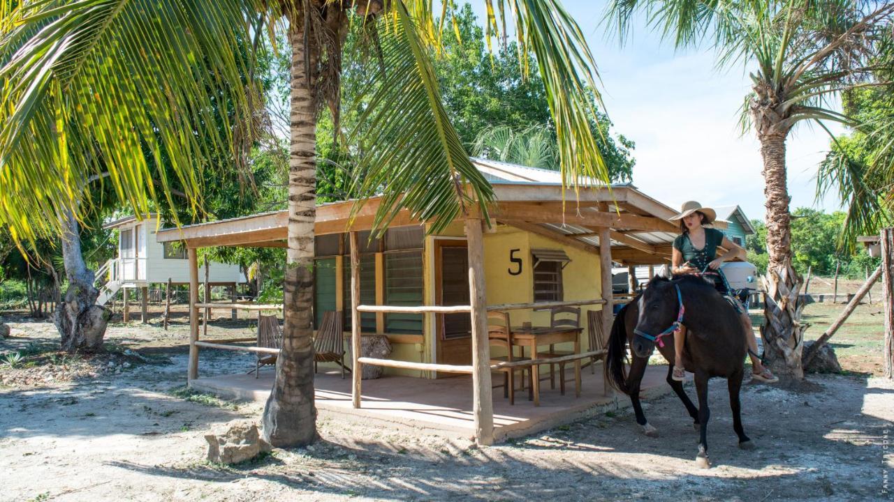 Horse Cottage Sarteneja Kültér fotó